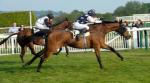 Billyvoddan on his way to winning the Aga Final HC at Cheltenham