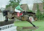 Barton Bank who enjoyed his retirement at Mill House Stud