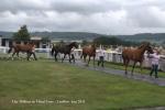 Million in Mind Open Day, Ludlow